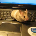 Lissy100 - Bild 4