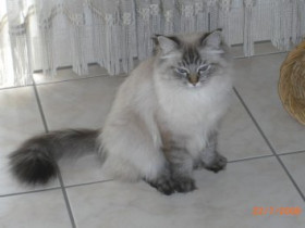 HungryEyes - Bild 5
