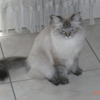 HungryEyes - Bild 5