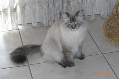 HungryEyes - Bild 5