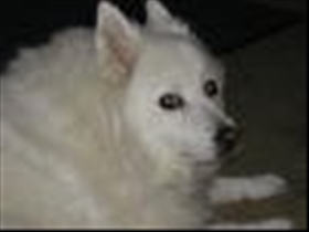 Mandy - Bild 3
