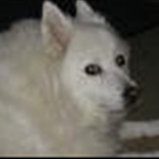 Mandy - Bild 3