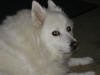 Mandy - Bild 3