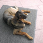 melmo - Bild 3