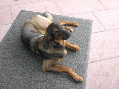 melmo - Bild 3