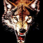 WolfHunter2004 - Bild 3