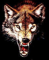 WolfHunter2004 - Bild 3
