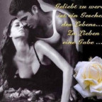 Tinalady - Bild 11