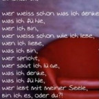 cati - Bild 3