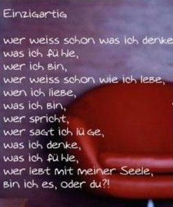 cati - Bild 3