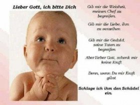 teddyred - Bild 4