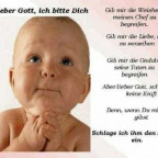 teddyred - Bild 4