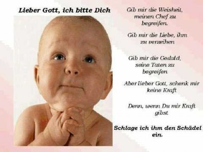 teddyred - Bild 4