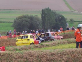 hansroos - Bild 3