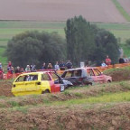 hansroos - Bild 3