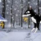 Cael - Bild 6