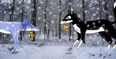 Cael - Bild 6