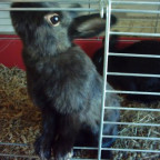 sunny439 - Bild 5