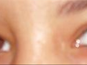 ameise - Bild 2