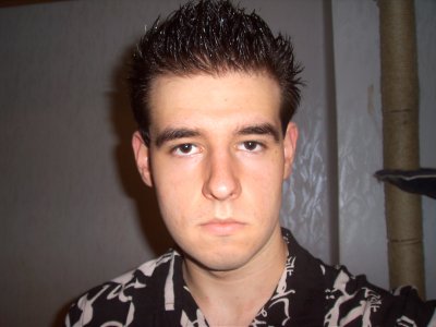 Dragon86 - Bild 1