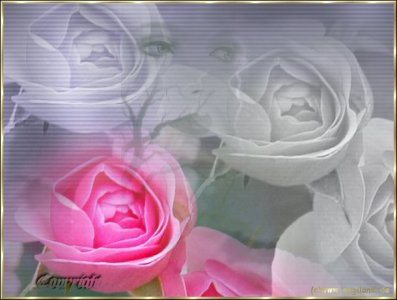nicki11 - Bild 2