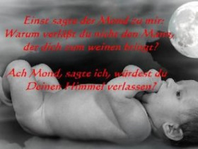 Nevioline - Bild 8