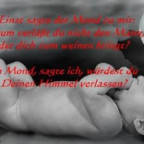 Nevioline - Bild 8