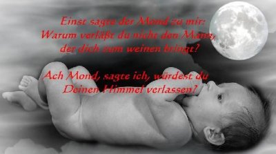 Nevioline - Bild 8