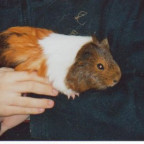 elisabethvrh - Bild 6