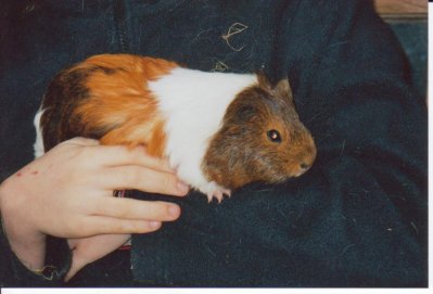 elisabethvrh - Bild 6