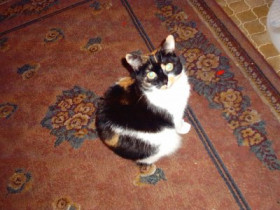 sandra29 - Bild 3