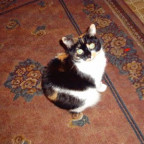sandra29 - Bild 3