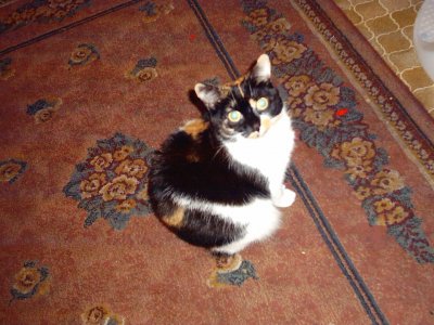 sandra29 - Bild 3