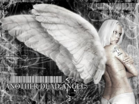 Nevio_Fan13 - Bild 7
