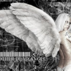 Nevio_Fan13 - Bild 7