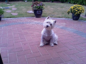 nelly20000 - Bild 4