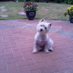 nelly20000 - Bild 4