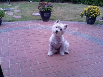 nelly20000 - Bild 4