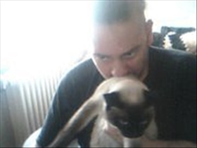 graf10001 - Bild 2