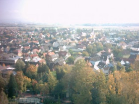 Celebration - Bild 6