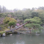 Kamiel - Bild 5