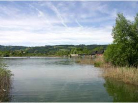OlafOchsBayern - Bild 2