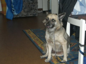 DjTanja - Bild 6