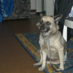 DjTanja - Bild 6