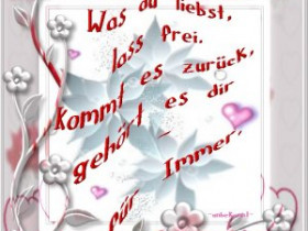 xsonnenscheinx12 - Bild 2