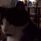 WindelMinni - Bild 4