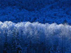 vero97 - Bild 4