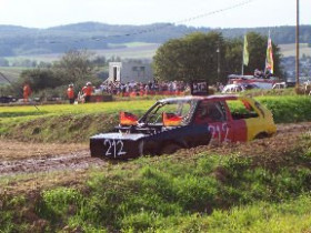 hansroos - Bild 2