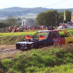 hansroos - Bild 2