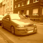 poloboy1984 - Bild 9